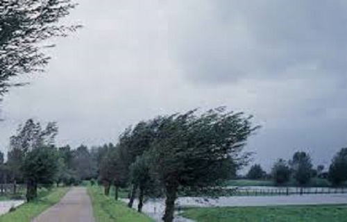 Cod galben de vânt pe Clisura Dunării