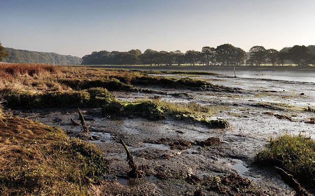 DESCOPERIRE LEGENDARA: o nava de razboi din flota regelui Henric al V-lea!