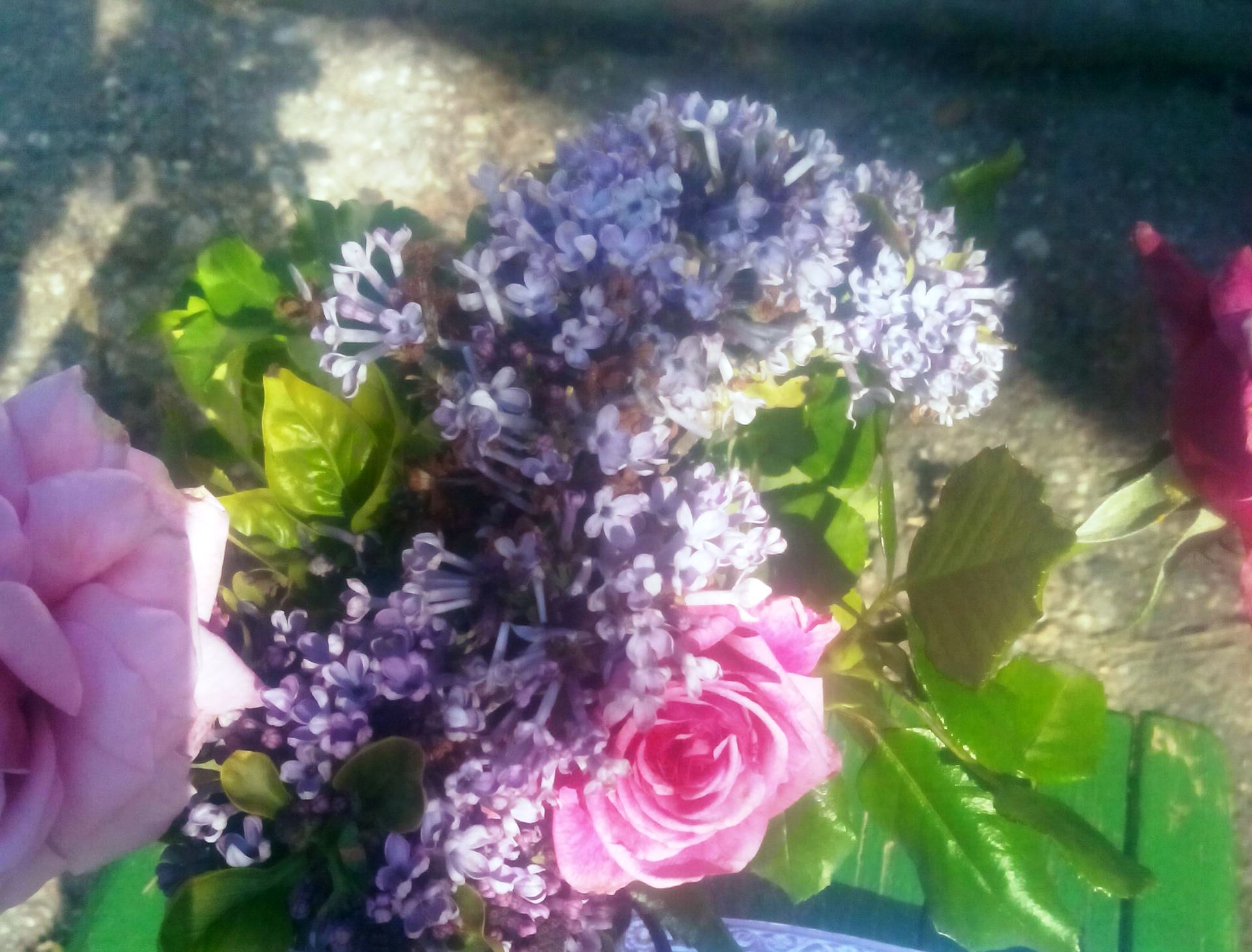 Ascultatorii nostri sunt peste ai lor!