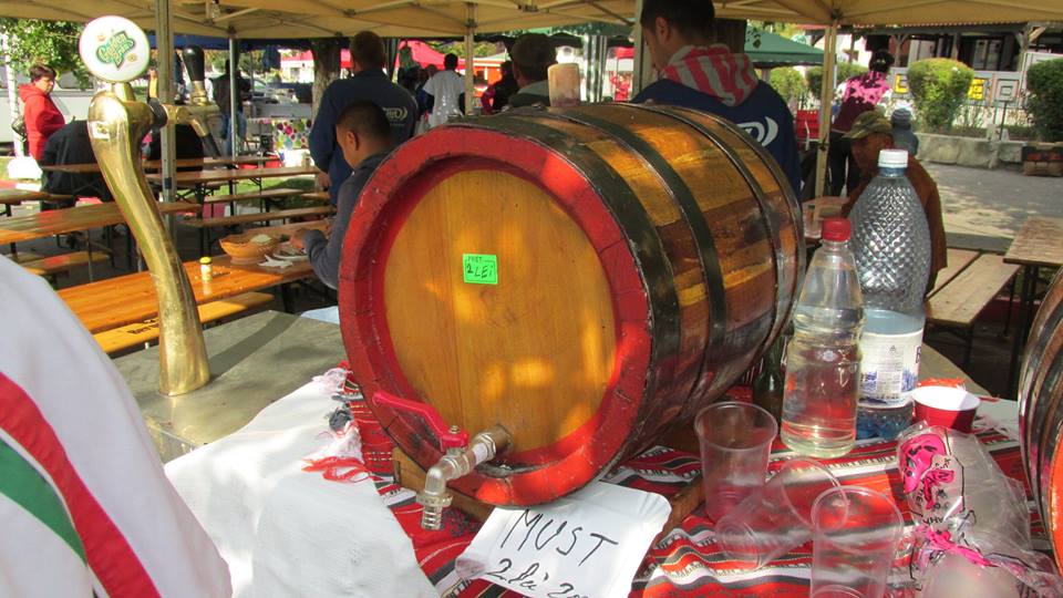 Ziua Recoltei in Arges