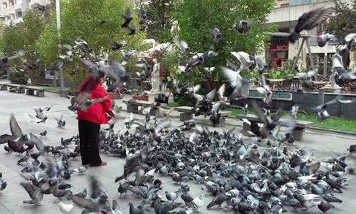 Azi despre ieri – 25 octombrie 2015