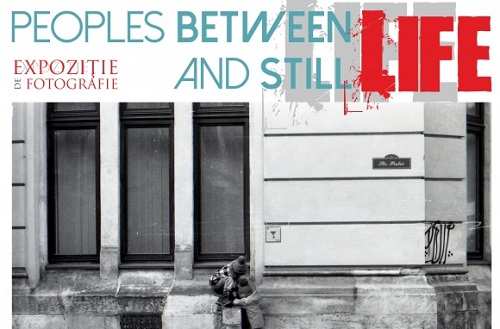 Expoziție de fotografie la Vollard