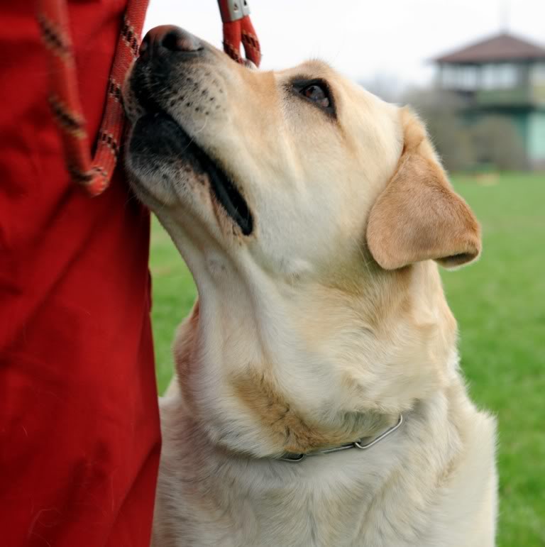 Pentru prima dată în Europa de Est!