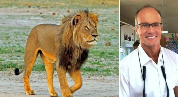 Ucigasul leului Cecil nu va fi judecat