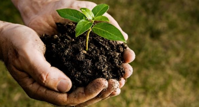 Eco-voluntariat in penitenciare