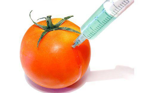 15 state din UE vor interzice culturile modificate genetic