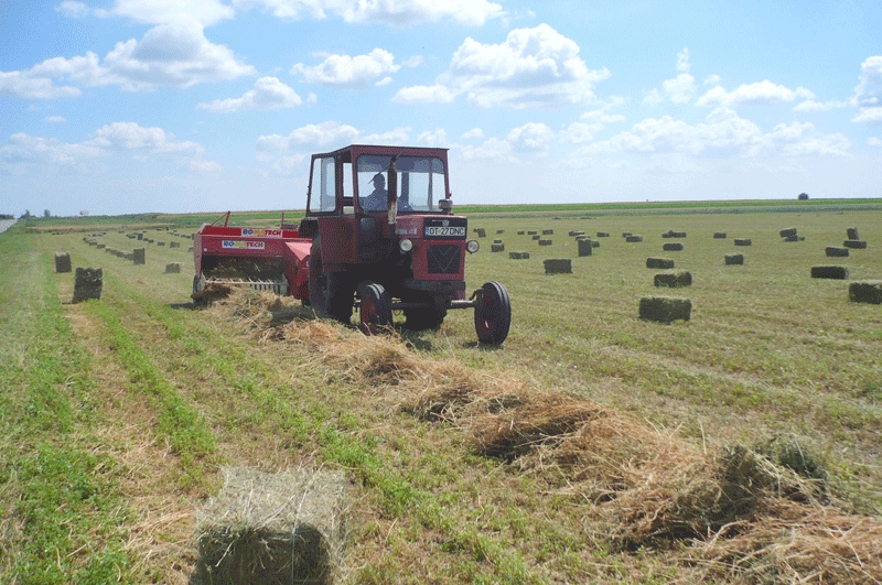 APIA incepe controalele!
