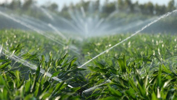 Legea irigațiilor a fost adoptată de Camera Deputaților