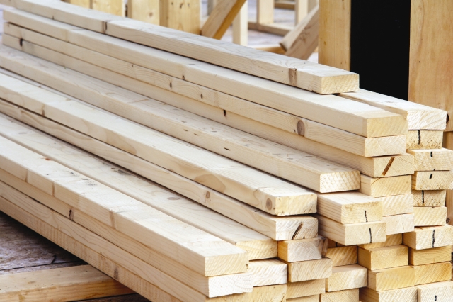 Acțiuni pentru protejarea „aurului verde”!