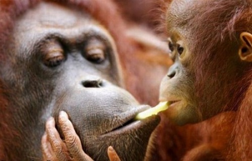 Pare ireal, și totuși…