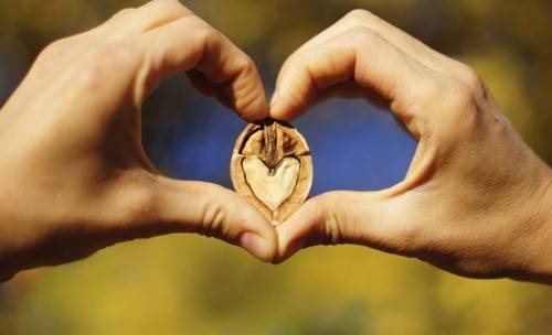 Sarbatoarea nucului la Curtisoara