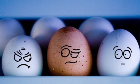 – Cioc, cioc! – Cine-i acolo? – Ziua Mondiala a Oului!