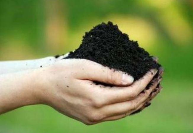 Rolul solului in transmiterea bolilor