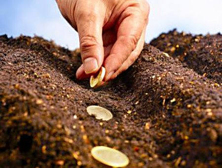 APIA: Despagubiri pentru fermierii afectati de seceta