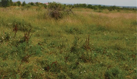 Primăria Târgu Jiu a pierdut un teren