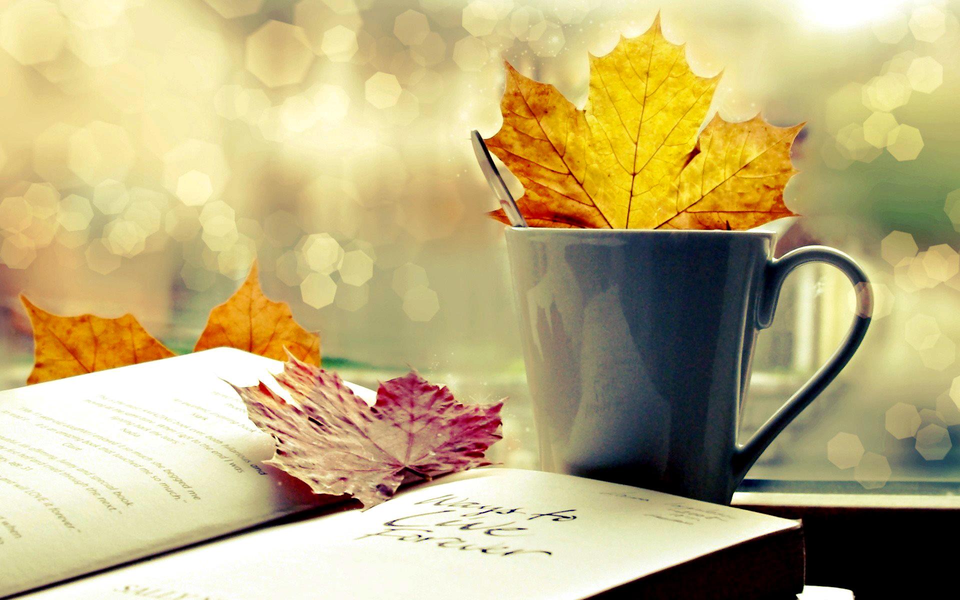 Vreme de stat in casa in weekend