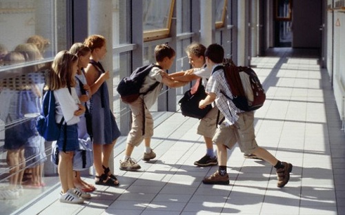 Proiect școlar internațional