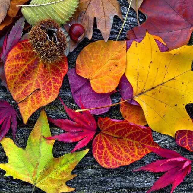 Vremea la inceput de weekend!