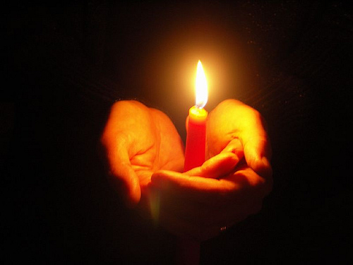 21 NOIEMBRIE – OVIDENIA