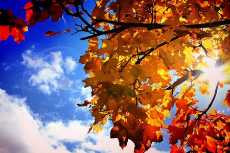 Vremea le surade oltenilor!