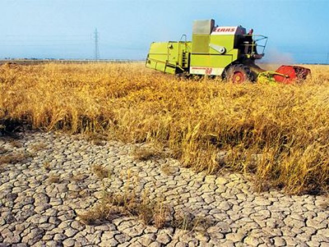 Agricultorii din Olt pierd despagubirile