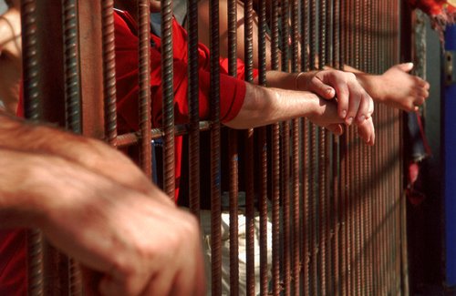 Raluca Pruna: Legislatie care sa nu mai reduca pedeapsa detinutilor care scriu carti