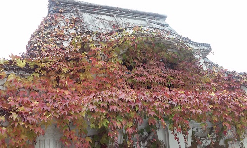 Azi despre ieri – 26 noiembrie 2015