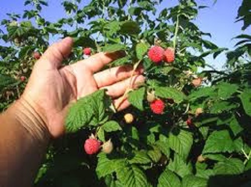 Locuri de muncă în Portugalia