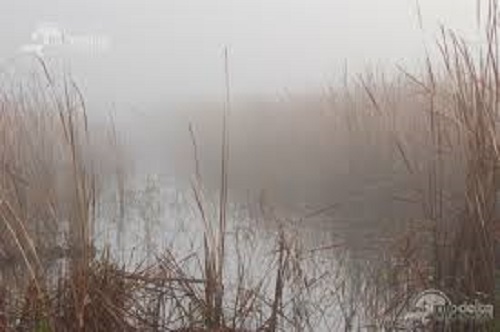 Azi despre ieri – 16 noiembrie 2015