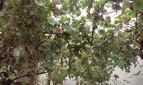 Azi despre ieri – 12 noiembrie 2015