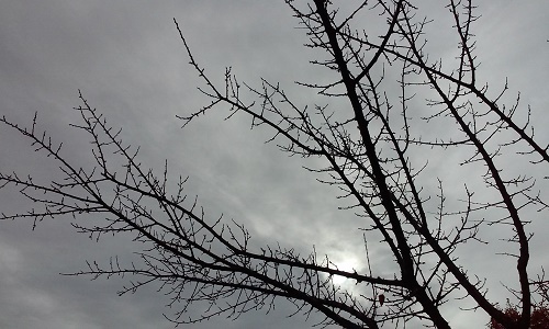 Azi despre ieri – 27 noiembrie 2015