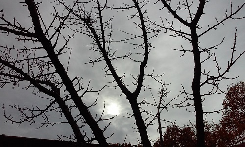 Azi despre ieri – 19 noiembrie 2015