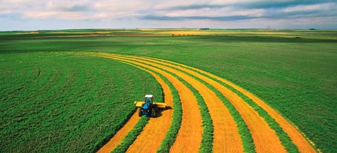 Italienii investesc in agricultura din Valcea