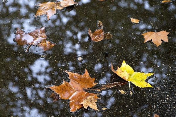 Meteo: Vremea extremelor in weekend!