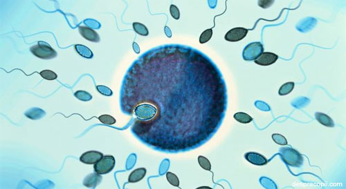 Ziua Naţională a Luptei Împotriva Infertilităţii