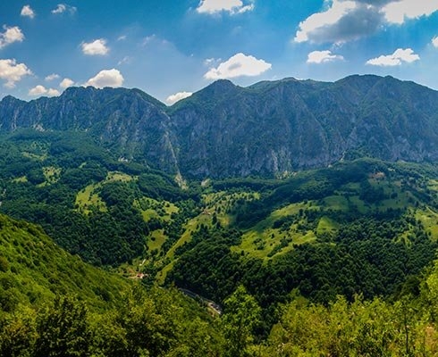 Incendiu in padurile de pe Valea Cernei