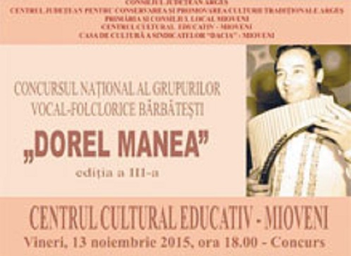 Concursul Dorel Manea la Mioveni