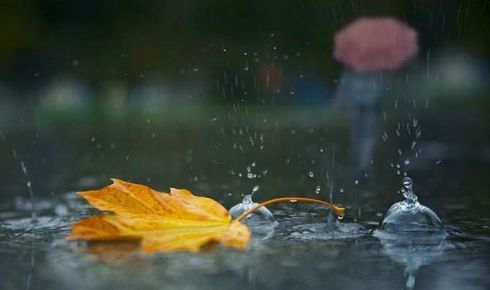 Ar putea fi emis cod portocaliu de precipitaţii pentru sud!