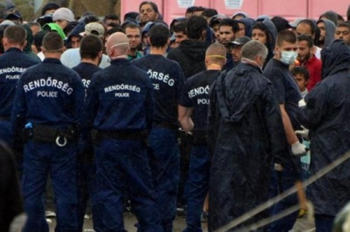 Polițiști străini în Ungaria