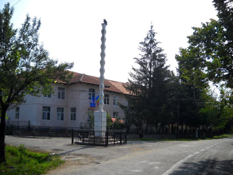 Comuna Pades, in continuare fara primar