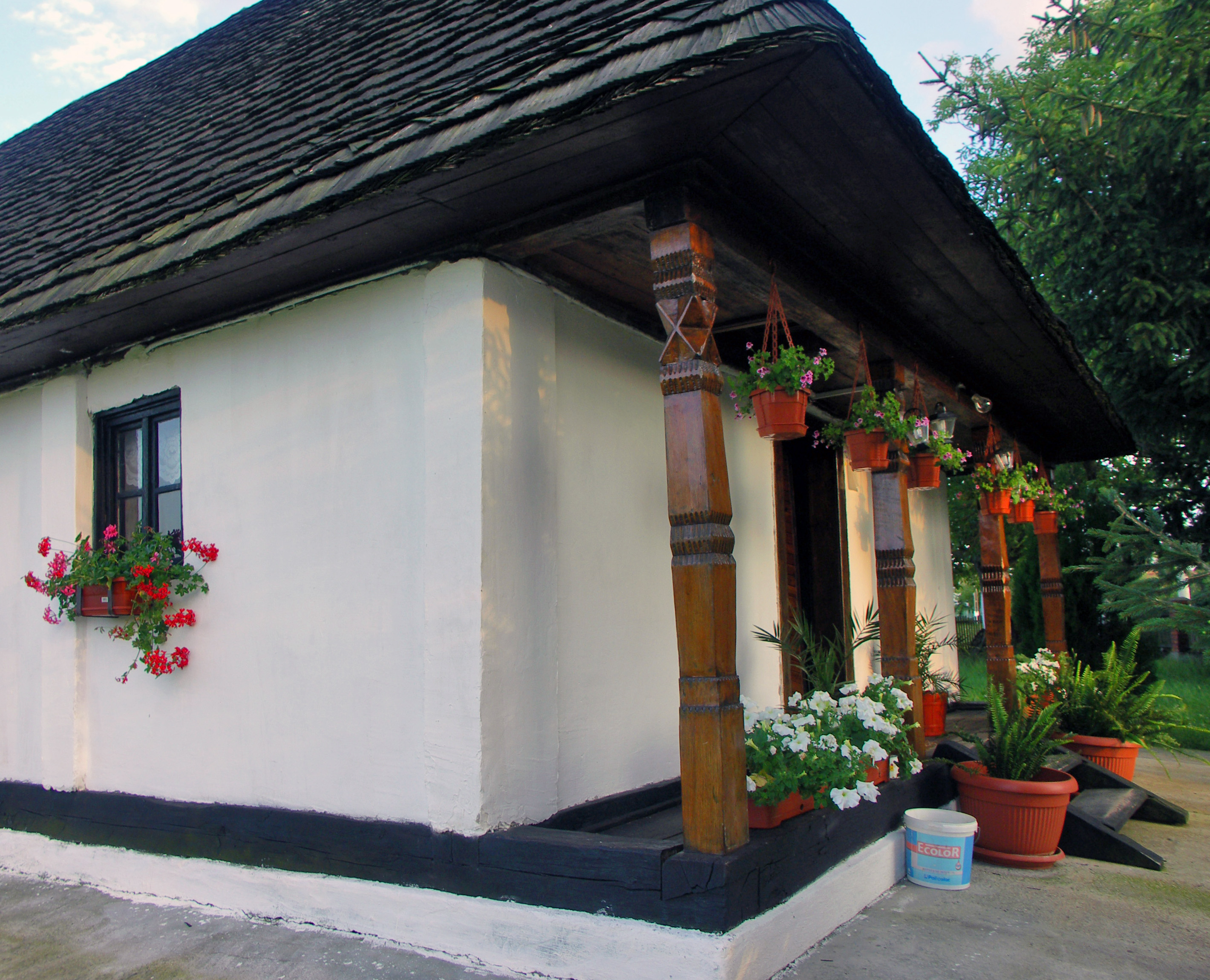 11 DECEMBRIE – STALPUL CASEI