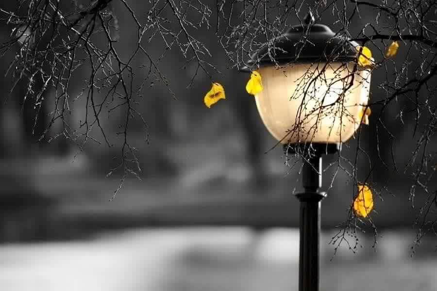 Oltenia: iarna doar in calendar!