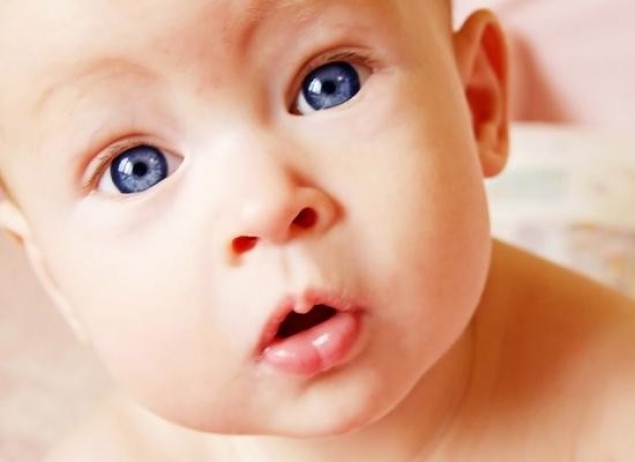 17 IANUARIE – ANTANASIILE