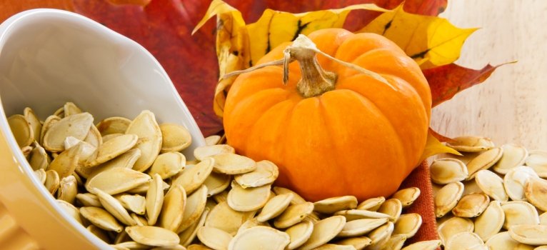 17 DECEMBRIE – POCNITUL SEMINTELOR