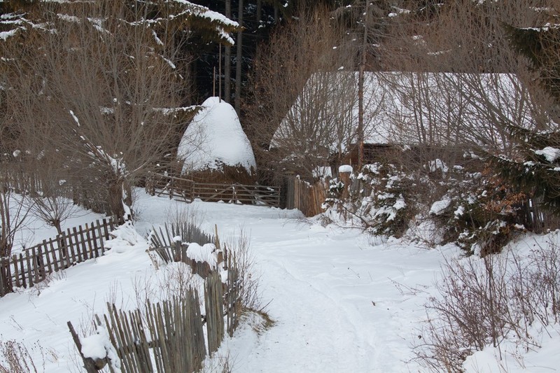 31 IANUARIE – SE PRIMENESTE LOCUL