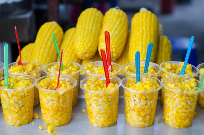 8 DECEMBRIE – CIOCALAII