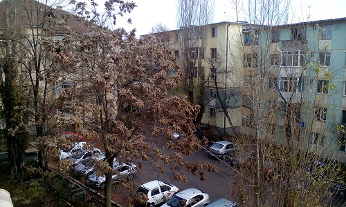 Azi despre ieri – 11 decembrie 2015