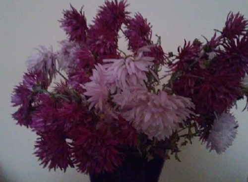 Azi despre ieri – 5 decembrie 2015