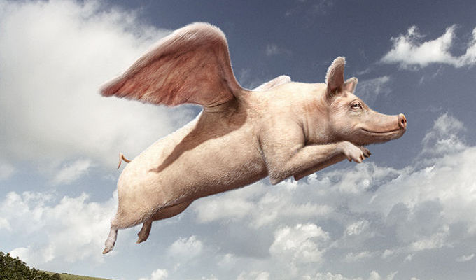 Atentie cand cumparati carne de porc!