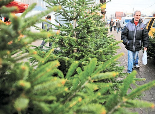 Brazi confiscați în Severin